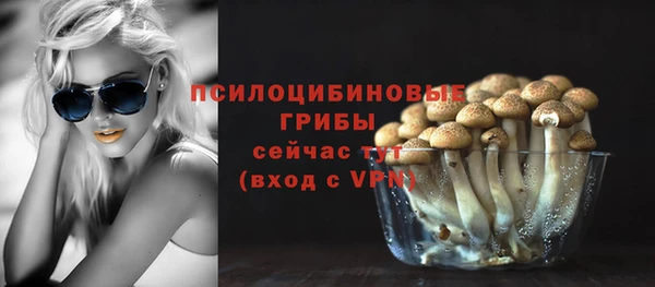 дмт Михайлов