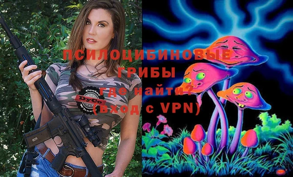дмт Михайлов