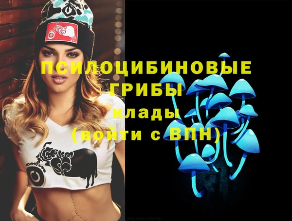 дмт Михайлов