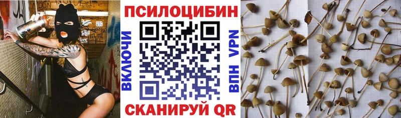 Купить закладки Котлас Псилоцибиновые грибы мухоморы